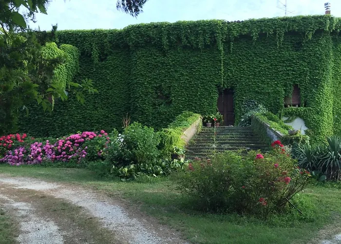 Corte Vo Grande Bed and breakfast