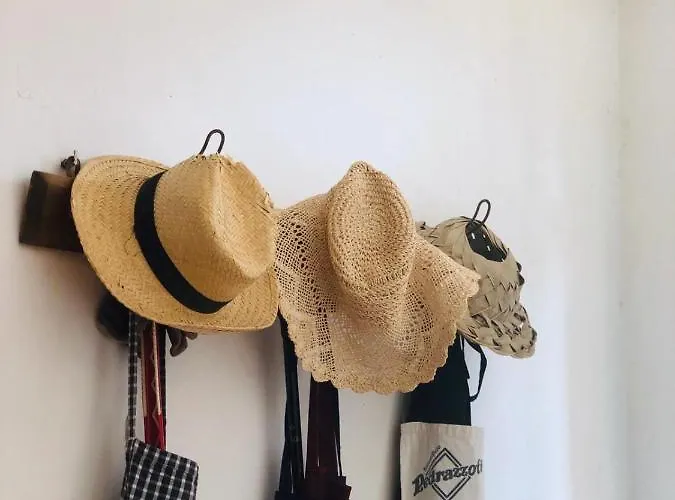 Corte Vo Grande Bed and breakfast